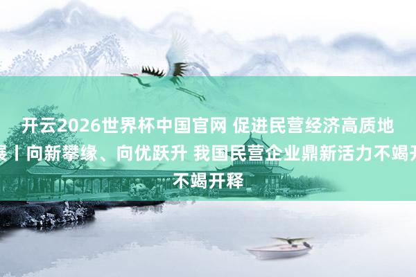 开云2026世界杯中国官网 促进民营经济高质地发展丨向新攀缘、向优跃升 我国民营企业鼎新活力不竭开释