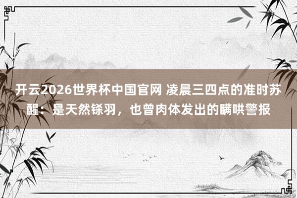 开云2026世界杯中国官网 凌晨三四点的准时苏醒:是天然铩羽,也曾肉体发出的瞒哄警报
