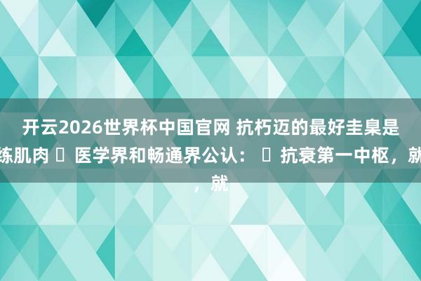 开云2026世界杯中国官网 抗朽迈的最好圭臬是练肌肉 医学界和畅通界公认: 抗衰第一中枢,就