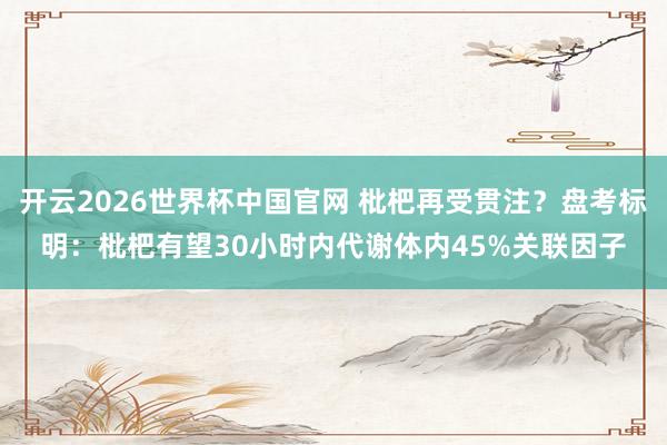 开云2026世界杯中国官网 枇杷再受贯注?盘考标明:枇杷有望30小时内代谢体内45%关联因子