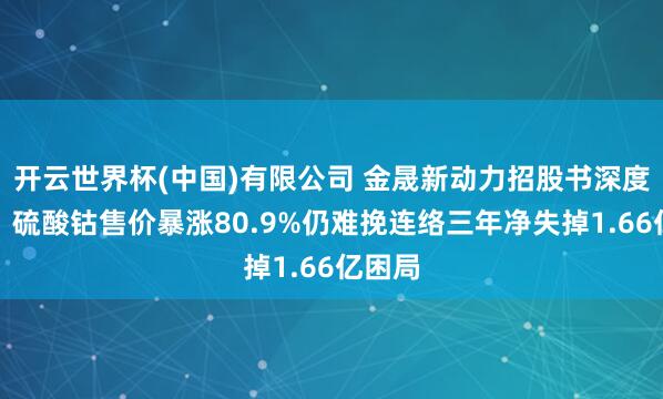 开云世界杯(中国)有限公司 金晟新动力招股书深度解读:硫酸钴售价暴涨80.9%仍难挽连络三年净失掉1.66亿困局