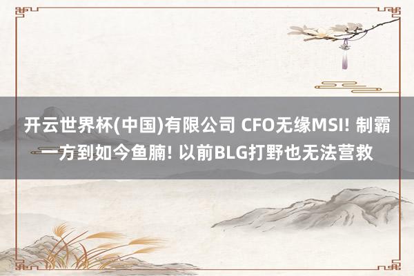 开云世界杯(中国)有限公司 CFO无缘MSI! 制霸一方到如今鱼腩! 以前BLG打野也无法营救