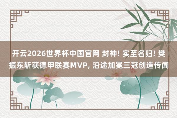 开云2026世界杯中国官网 封神! 实至名归! 樊振东斩获德甲联赛MVP, 沿途加冕三冠创造传闻
