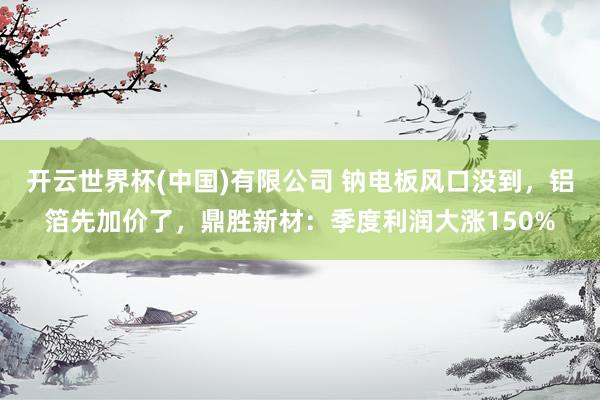 开云世界杯(中国)有限公司 钠电板风口没到,铝箔先加价了,鼎胜新材:季度利润大涨150%