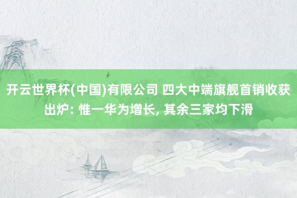 开云世界杯(中国)有限公司 四大中端旗舰首销收获出炉: 惟一华为增长, 其余三家均下滑