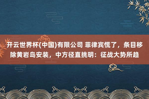 开云世界杯(中国)有限公司 菲律宾慌了,条目移除黄岩岛安装,中方径直挑明:征战大势所趋