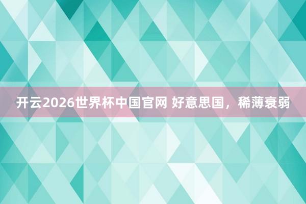 开云2026世界杯中国官网 好意思国,稀薄衰弱
