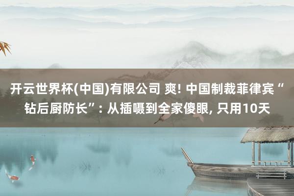 开云世界杯(中国)有限公司 爽! 中国制裁菲律宾“钻后厨防长”: 从插嗫到全家傻眼, 只用10天