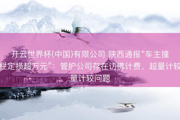 开云世界杯(中国)有限公司 陕西通报“车主撞坏护栏定损超万元”：管护公司存在访佛计费、超量计较问题