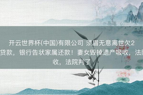 开云世界杯(中国)有限公司 须眉无意离世欠27万元贷款,银行告状家属还款!妻女毁掉遗产吸收,法院判了